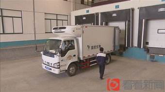 獨家揭秘 上海疫苗配送如何實現從儲存到使用的全程冷鏈閉環